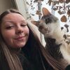 haylietopia